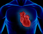 Biomarker for Heart Failure