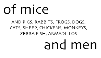 Of mice, and pigs, rabbits, frogs, dogs, cats, sheep, chickens, monkeys, zebra fish, armadillos, and men