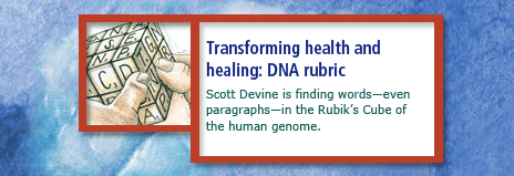 Transforming health and healing: DNA rubric