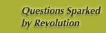 Questions Sparked by Revolution