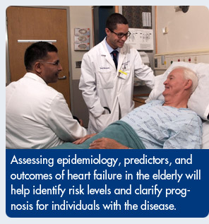 Assessing epidemiology, predictors, and outcomes of heart failure in the elderly will help identify risk levels and clarify prognosis for individuals with the disease.