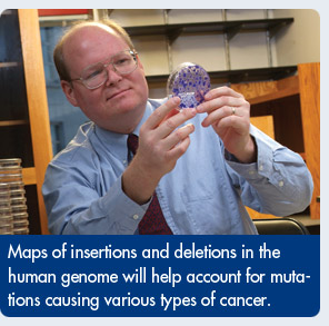 Maps of insertions and deletions in the human genome will help account for mutations causing various types of cancer