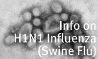 Info on Swine Flu