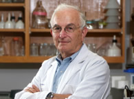 Dr. Donald Stein