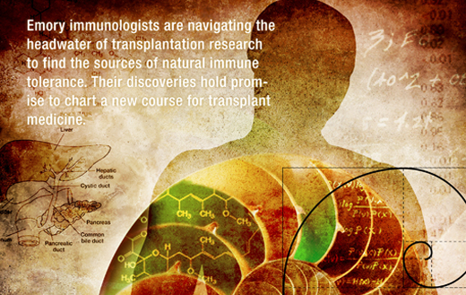 Graphic with text: Emory immunologists are navigating the headwater of transplantation research to find the sources of natural immune tolerance. Their discoveries hold promises to chart a new course for transplant medicine.