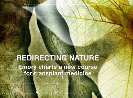 Redirecting Nature: Emory charts a new course for transplant medicine