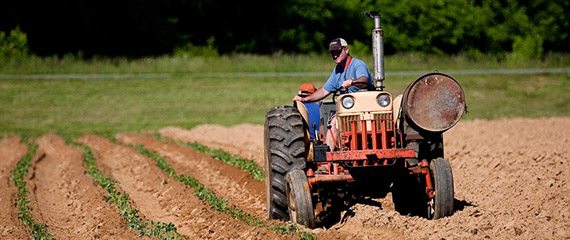 Farmer driving a tractor