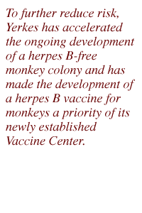 To further reduce risk, Yerkes has accelerated the ongoing development of a herpes B-free monkey colony and has made the development of a herpes B vaccine for monkeys a priority of its newly established Vaccine Center.